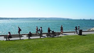 とても綺麗でした