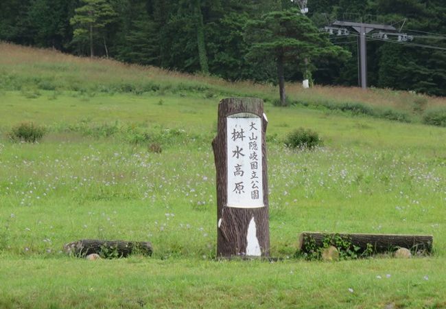 大山西麓に広がる高原