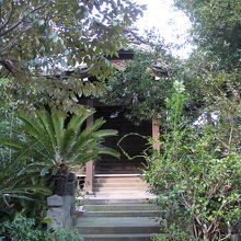 木々の中にある豊川稲荷堂