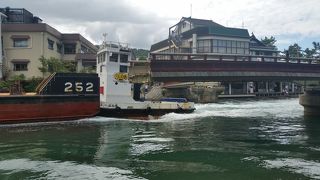 たまたま見れてラッキー