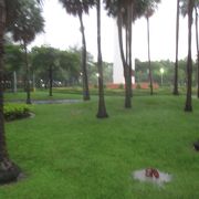 雷雨のチャトゥチャック公園