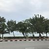 全体的に中途半端