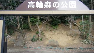 公園というよりかは山ですね