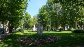 芝生が整備された公園