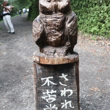 遊歩道入り口に立っているフクロウ