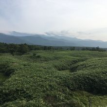 木道からの景色。