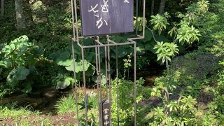 美味しいけどお高い！