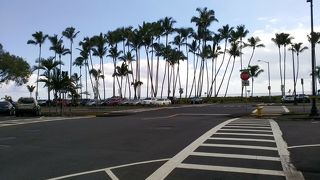 ハワイ島東海岸の中心地を今年も訪れました!!