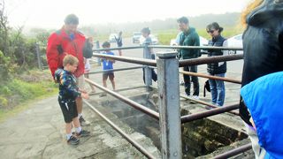 ハワイ火山国立公園　キラウエア火山　地球の息吹を感じる　スチームベント