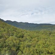 往復2時間余りの気軽な自然探訪。