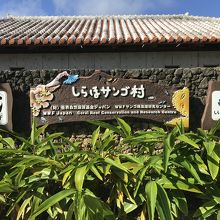 しらほサンゴ村