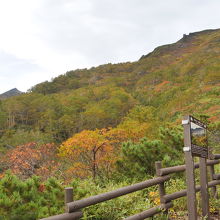 カムイ森のみちの終点からの絶景。