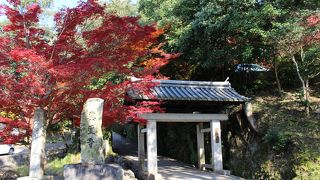 京都の自然二百選だけあって紅葉がきれい