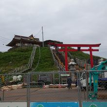 蕪島神社は工事中で立入できません