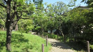 山王草堂記念館が建っています