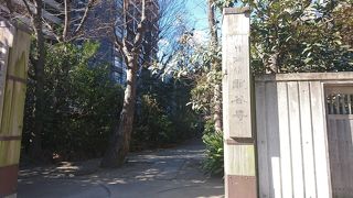 高い樹木に覆われた寺院