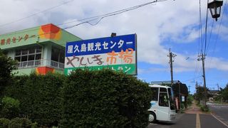 屋久杉の工芸品が充実しています