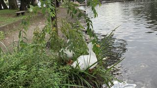 一日中遊べます。