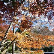 裾野～湖尻峠～箱根仙石原のドライブ　長安寺その１