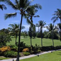 部屋からの眺め