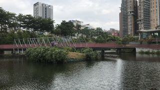 癒された気になる場所