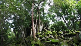 緑の中の廃墟