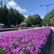 スキー場が続く岐阜の国道158号の小さな道の駅