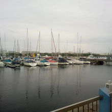 たくさんのヨットが並んでいます。