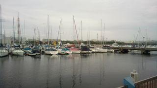 ヨットを見れます