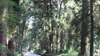 JR文挟駅周辺　日光例幣使街道の杉並木