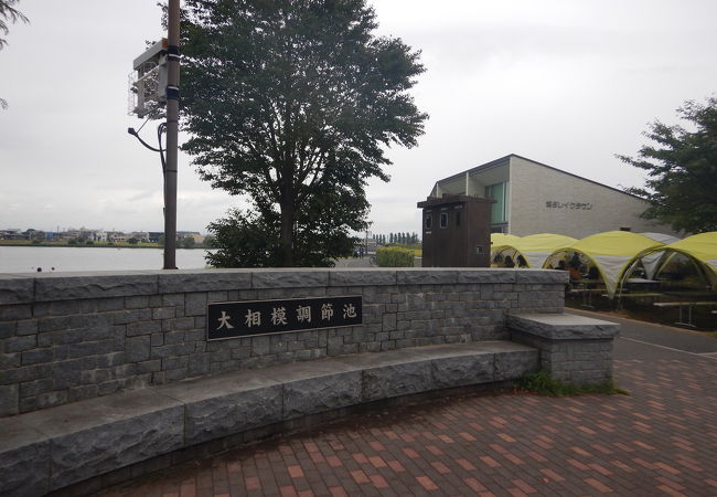 大相模調節池 クチコミ アクセス 営業時間 越谷 フォートラベル 大相模調節池 クチコミ アクセス 営業時間 越谷 フォートラベル