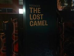 The Lost Camel Hotel 写真