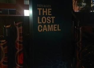 The Lost Camel Hotel 写真