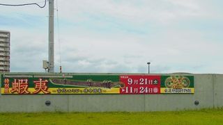 2019年9月21日、特別展「蝦夷－古代エミシと律令国家－」が始まりました