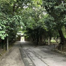 樹々に囲まれた妙興寺
