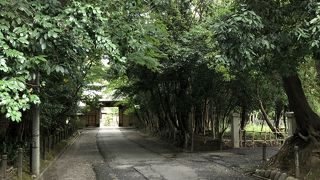 樹々に囲まれた境内