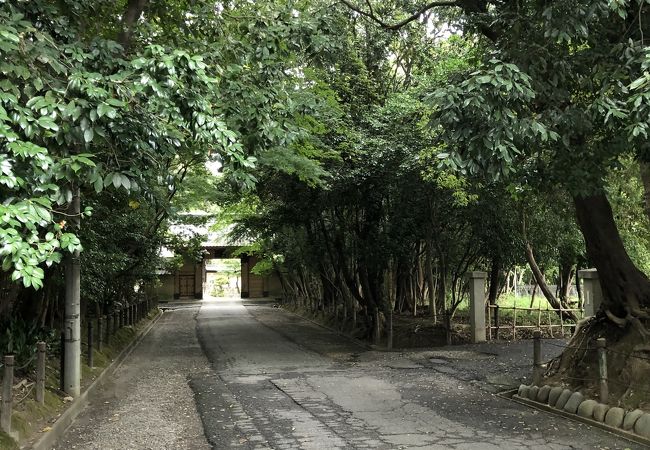 樹々に囲まれた境内