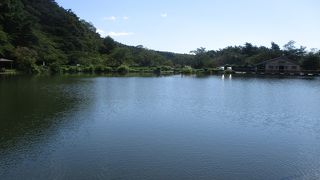大きな鯉がいましたが釣りは禁止と書いてありました