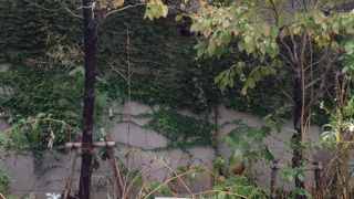 日米和親条約締結の1854年から150年