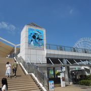 名古屋港水族館、大きく立派でした。マイワシのトルネードが良かったです。