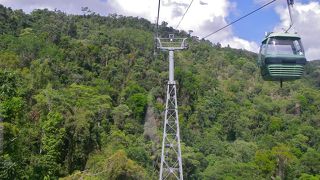 ジャングルの中を移動