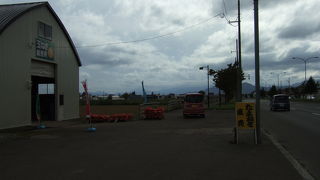 （再訪）玉ねぎの季節