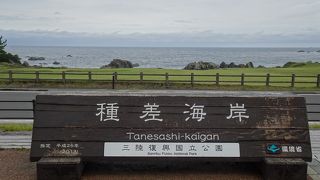 芝の上での散策が心地よい （種差海岸）