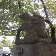 関東最古といわれる大社 見どころたくさん By 城megrist Pinchan 鷲宮神社のクチコミ フォートラベル 関東最古といわれる大社 見どころたくさん By 城megrist Pinchan 鷲宮神社のクチコミ フォートラベル