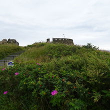 駐車場から階段を上ります