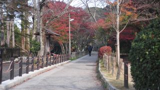 紅葉名所のはしご