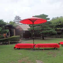 天守を見ながらお茶をいただく