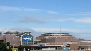 サメとマンボウに会える水族館