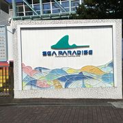 1日楽しめる