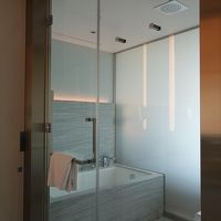 スイッチで不透明に